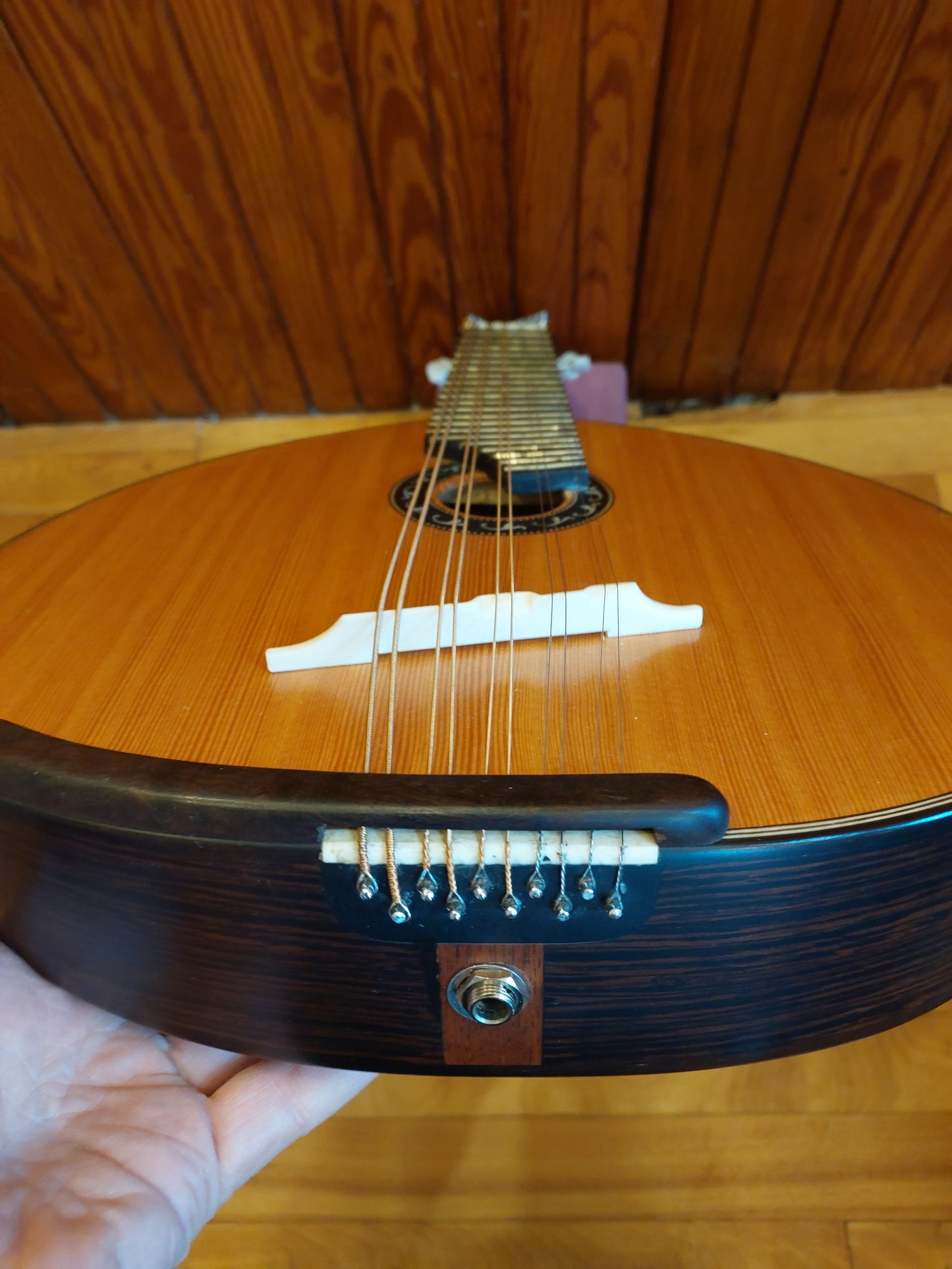 (B4) Regis Bonilha 10-string Bandolim, 2020