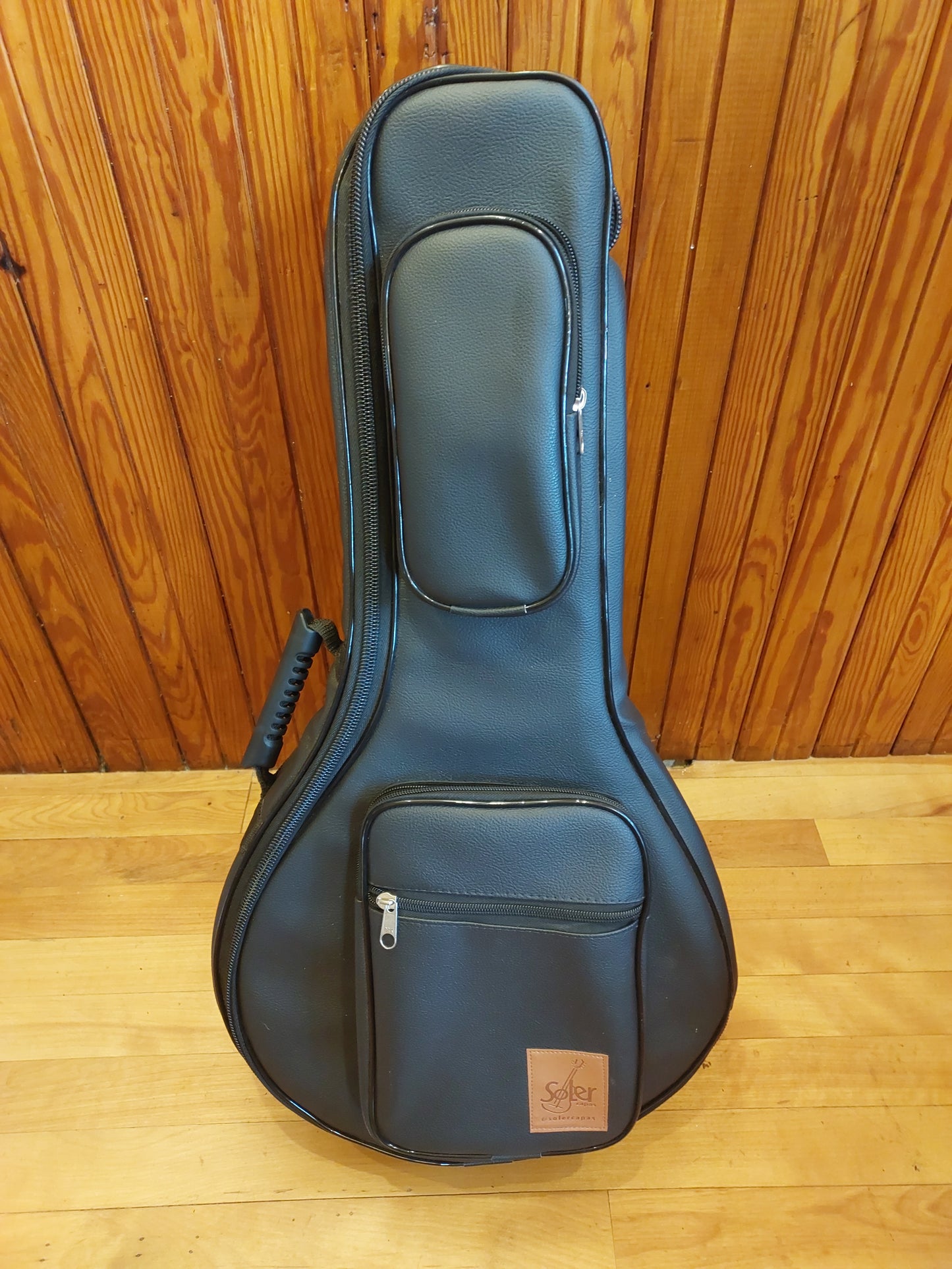 (B4) Regis Bonilha 10-string Bandolim, 2020