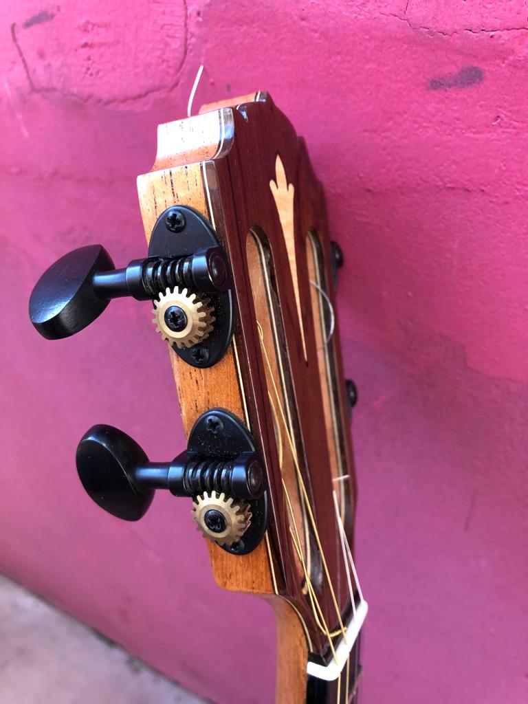 1. Agnaldo Luz Cavaquinho, July 2020