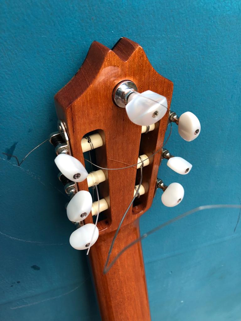 (S1) Wilson Campos 7-String Guitar, 2021 (steel strings)