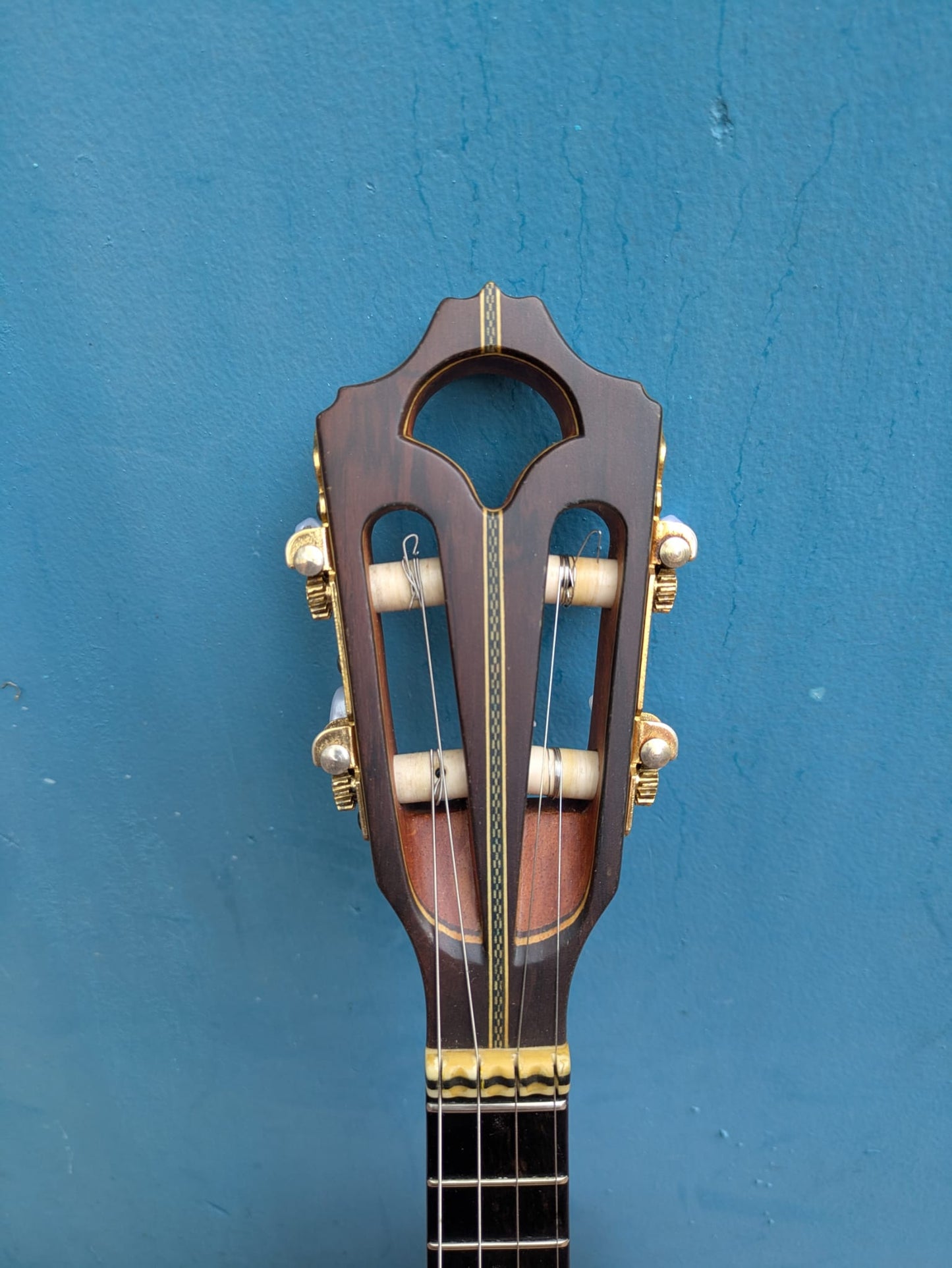 (C1) Ariass Cavaquinho, 2008