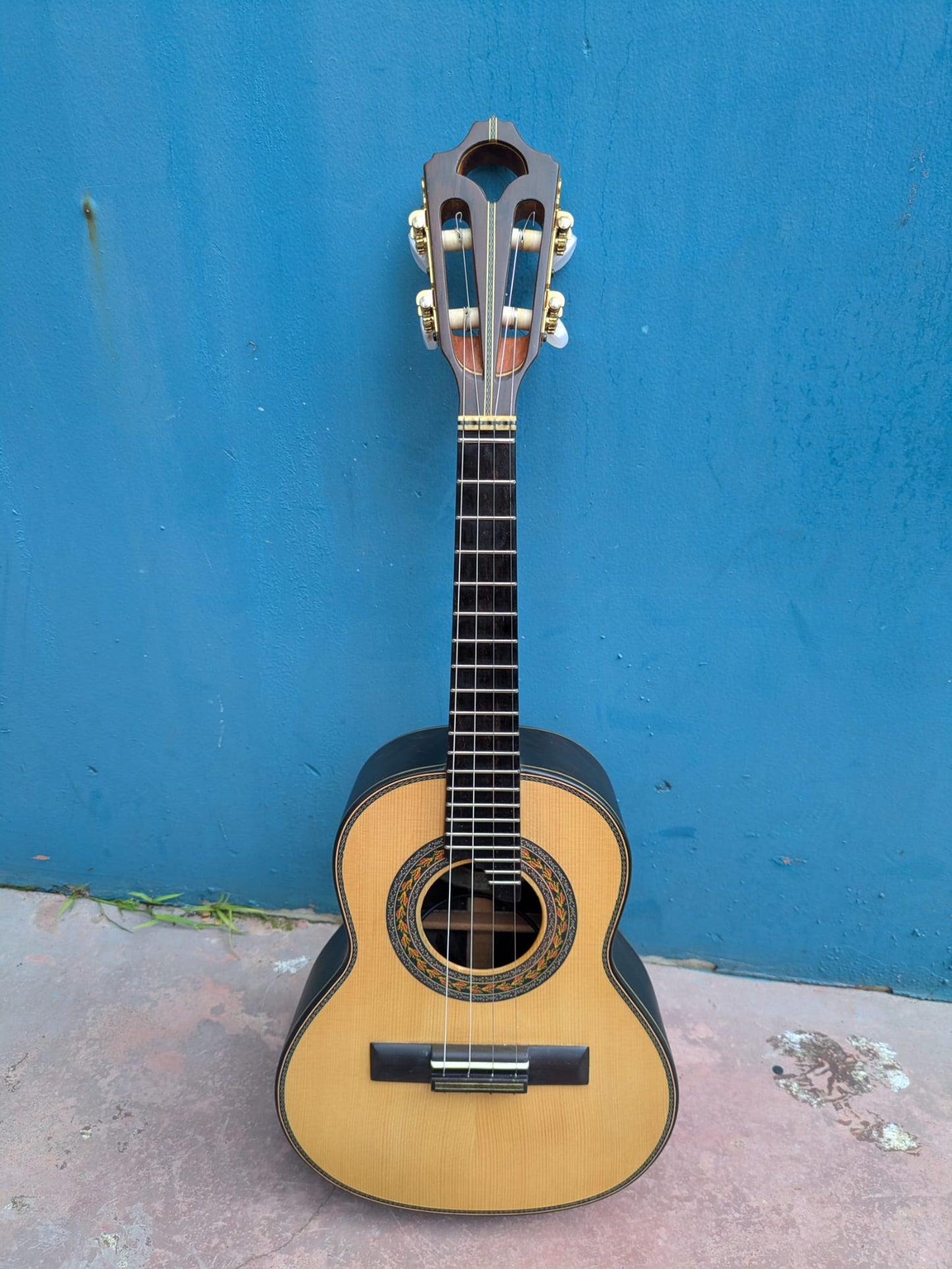 (C1) Ariass Cavaquinho, 2008