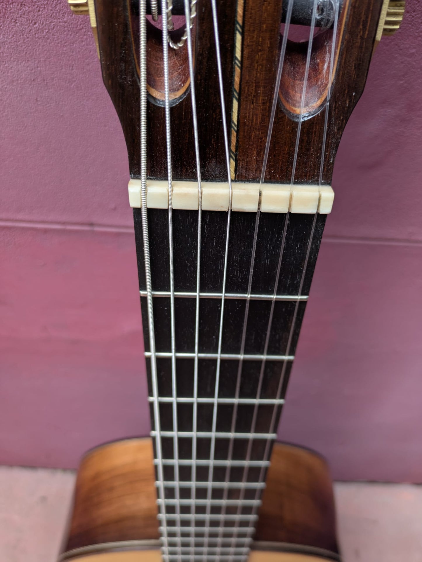 (N1) Irineu Cardoso Maia 7-String Guitar, 2025 (nylon strings)