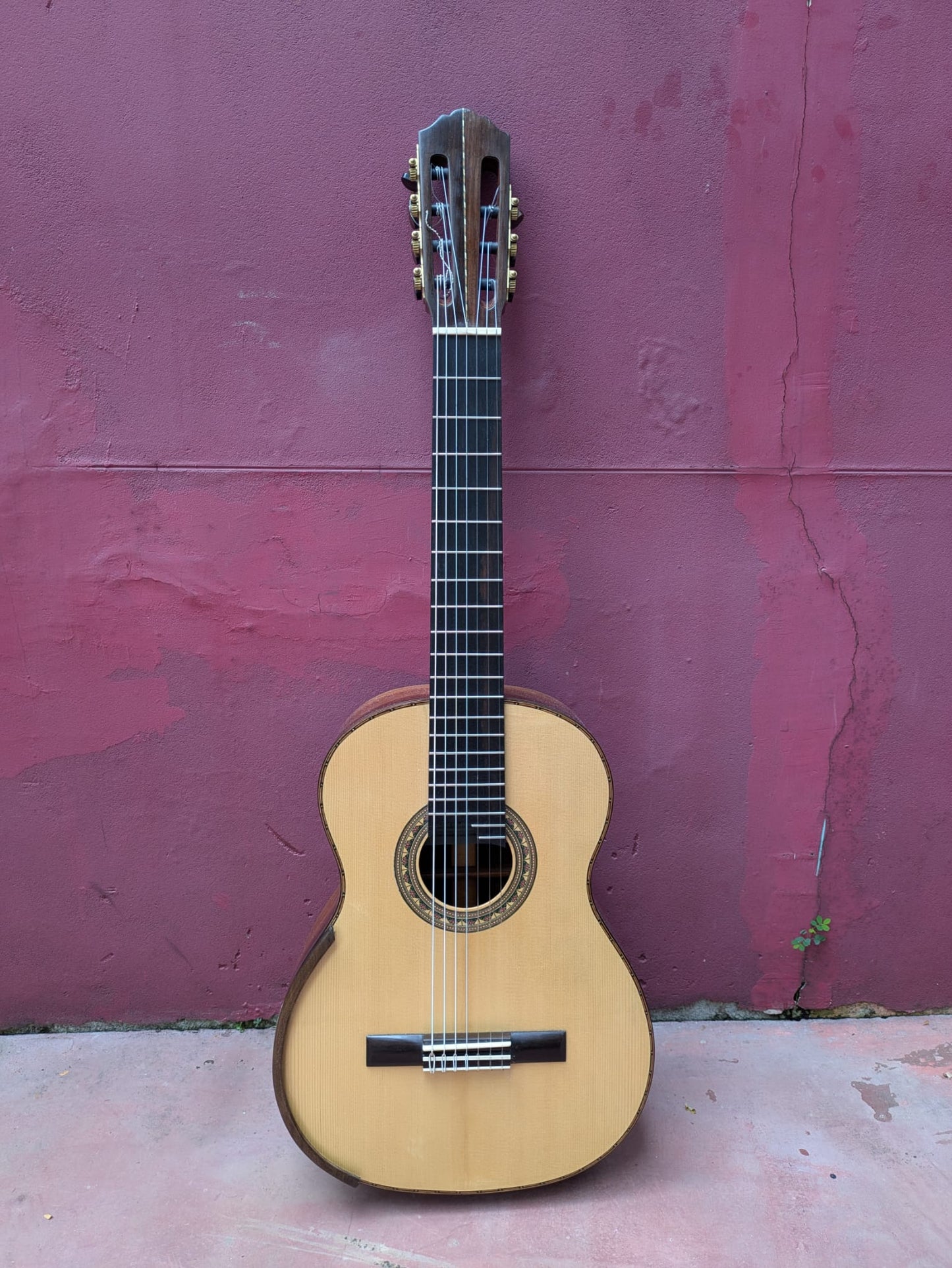 (N1) Irineu Cardoso Maia 7-String Guitar, 2025 (nylon strings)