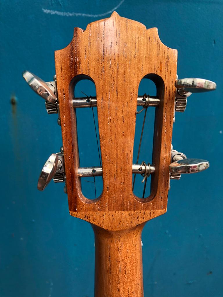 Agnaldo Luz Cavaquinho, 2020 (Sold)
