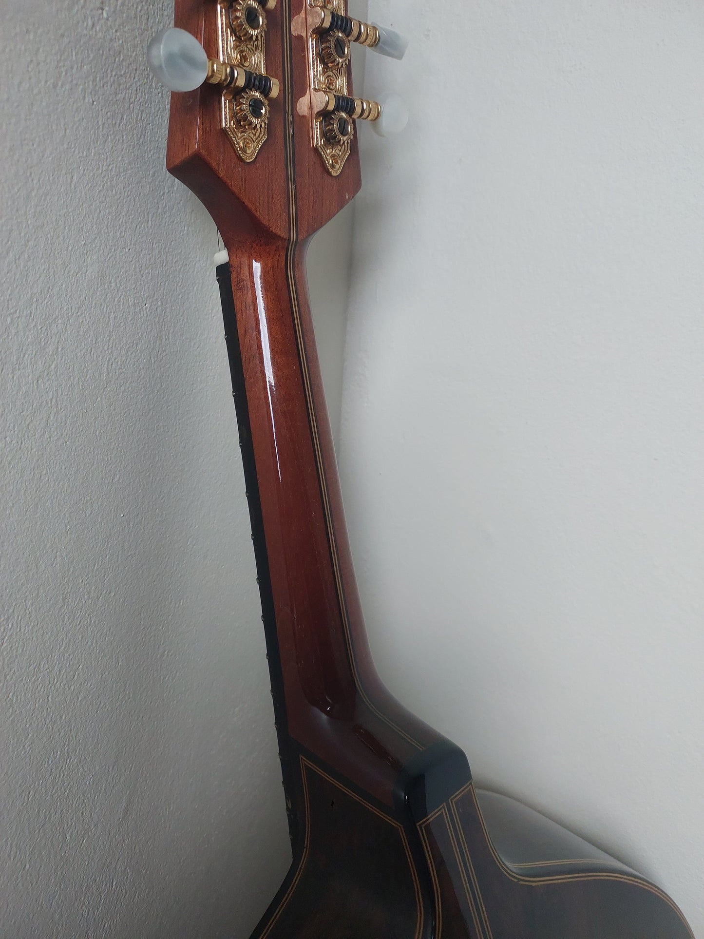(B1) Estevão Soros Bandolim, 1985