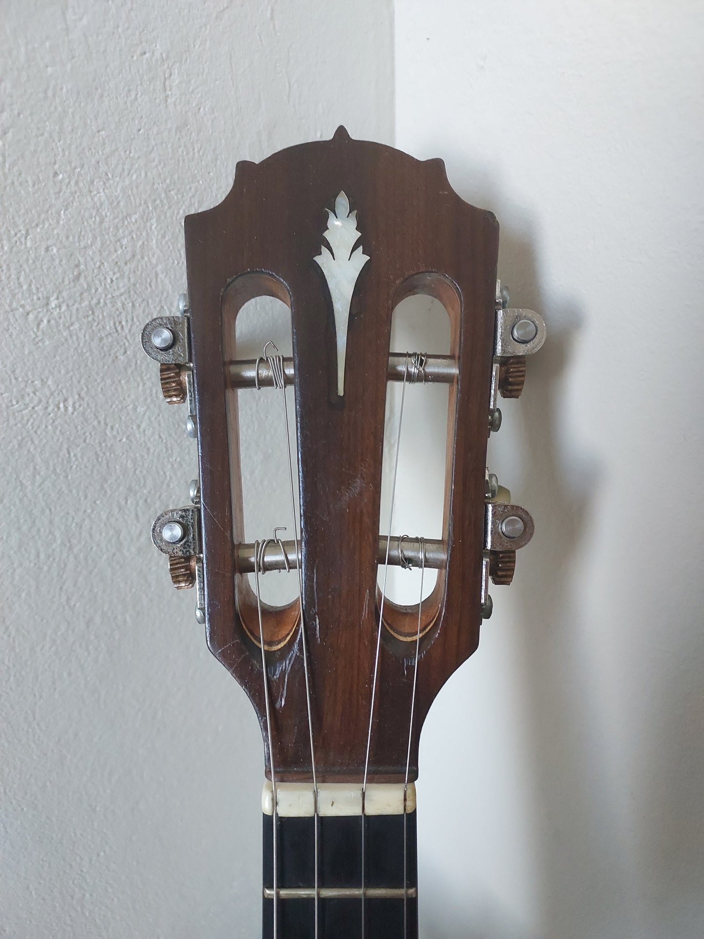 (C2) Agnaldo Luz Cavaquinho, 2015