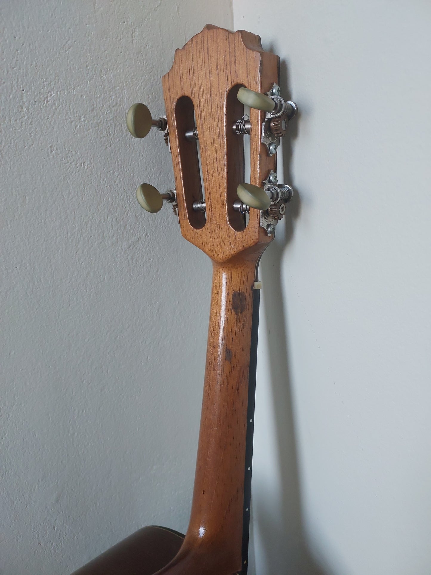 (C2) Agnaldo Luz Cavaquinho, 2015