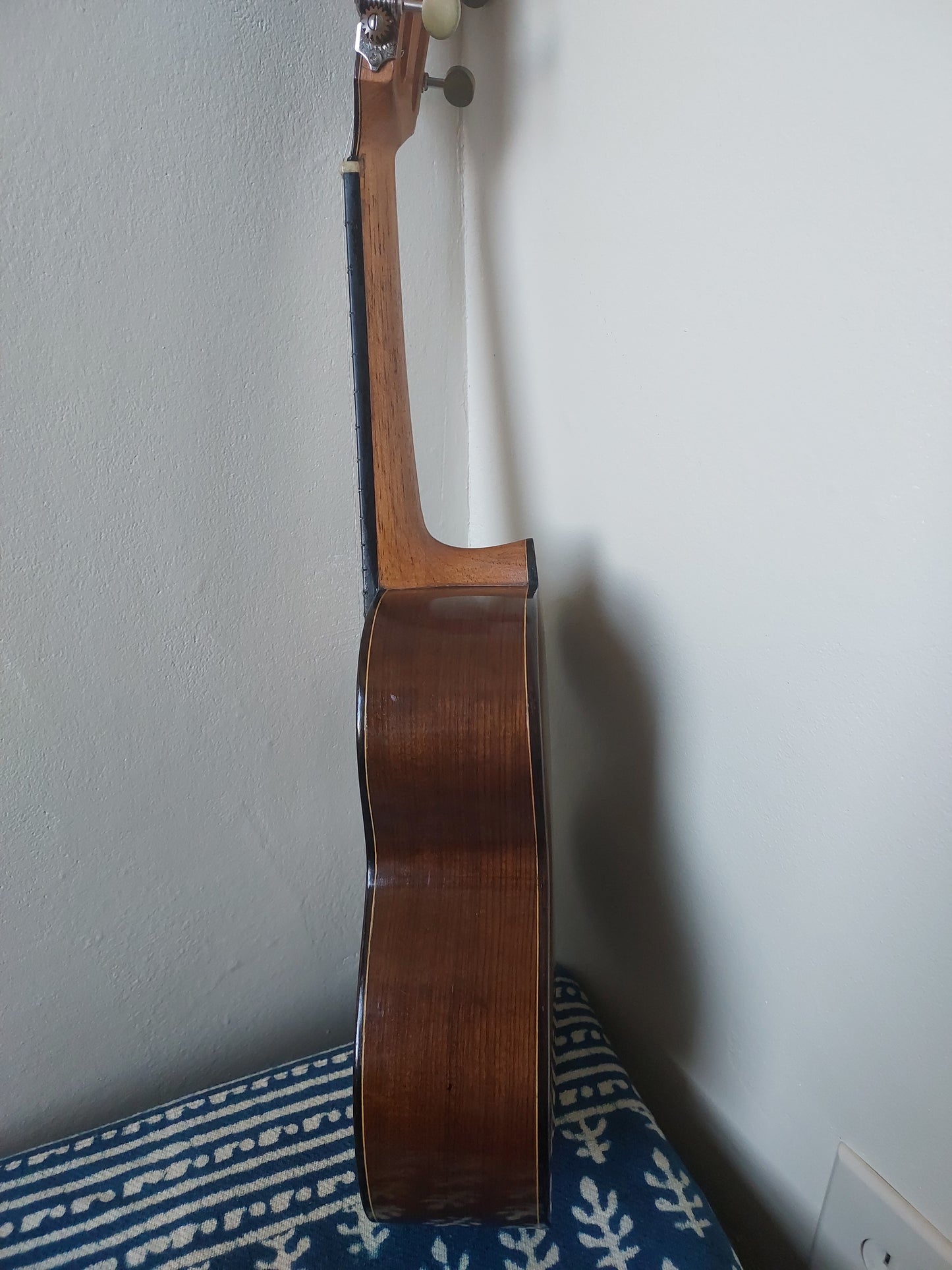 (C2) Agnaldo Luz Cavaquinho, 2015