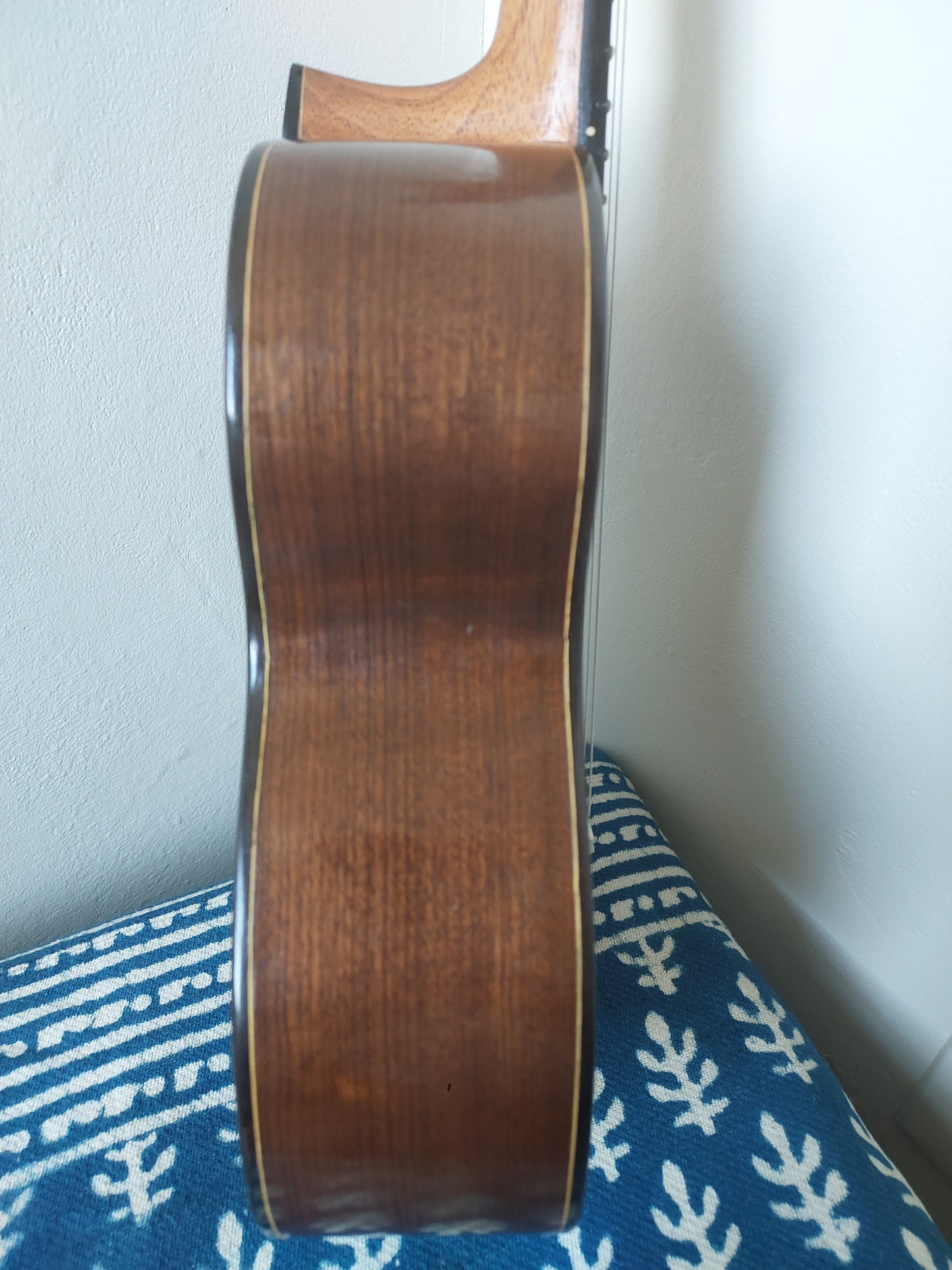 (C2) Agnaldo Luz Cavaquinho, 2015