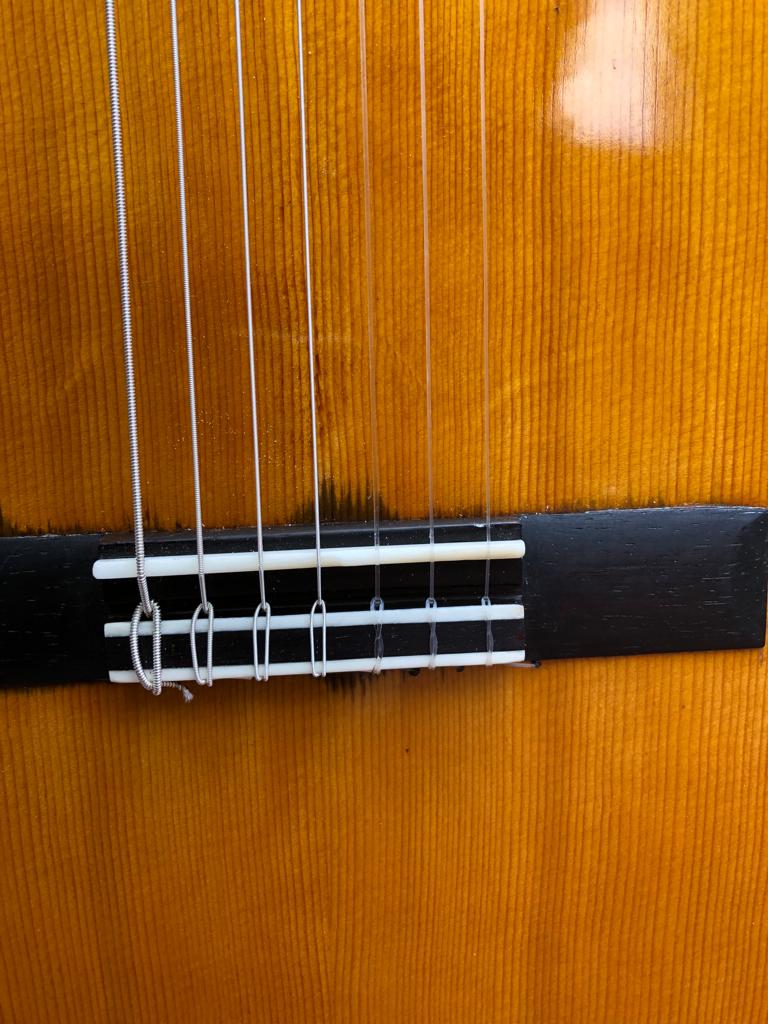 Savio Couto 7-String Guitar, nylon strings,  2021 (SOLD)