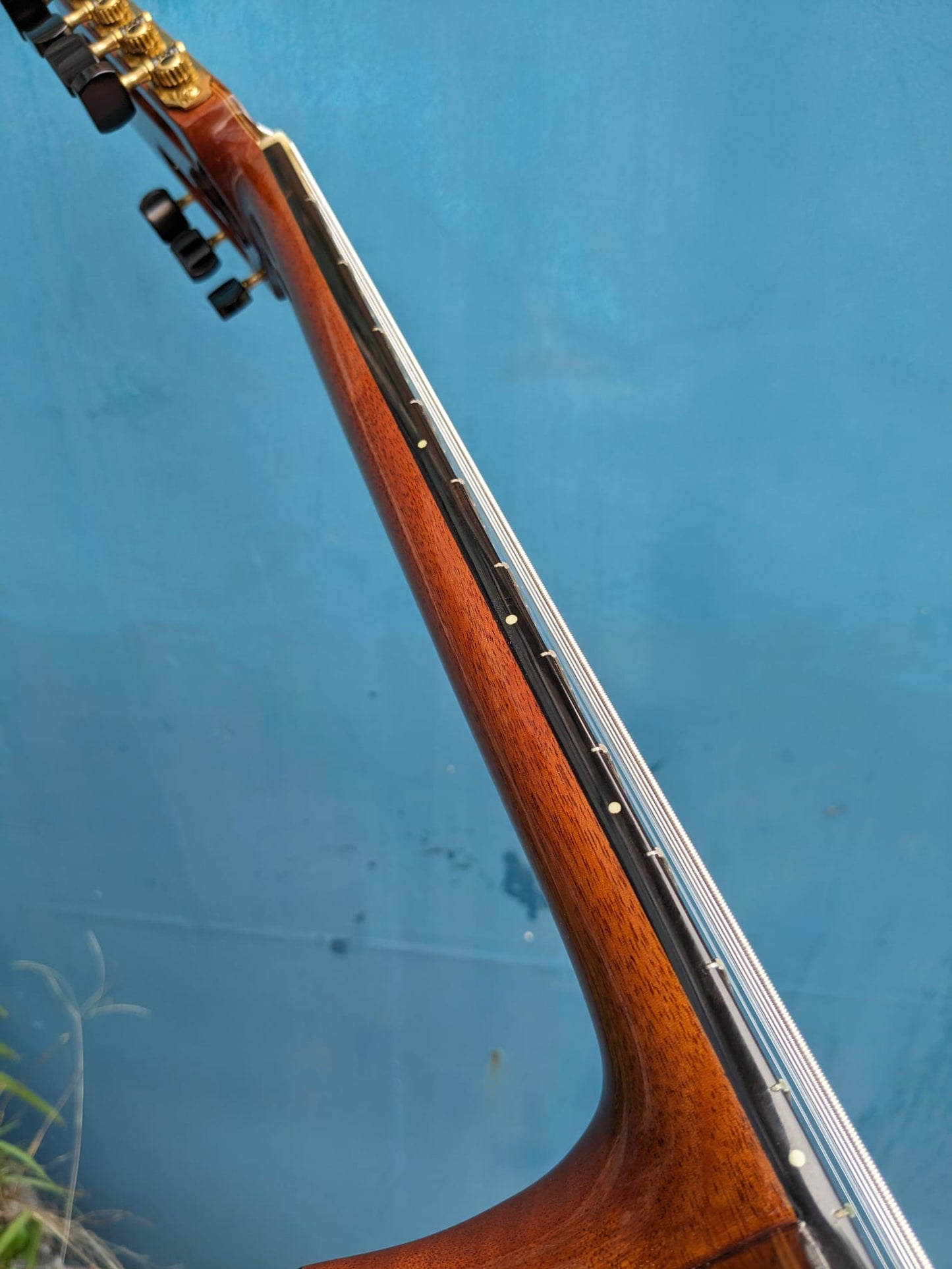 (N2) JB 7-String Guitar (nylon strings), 1996