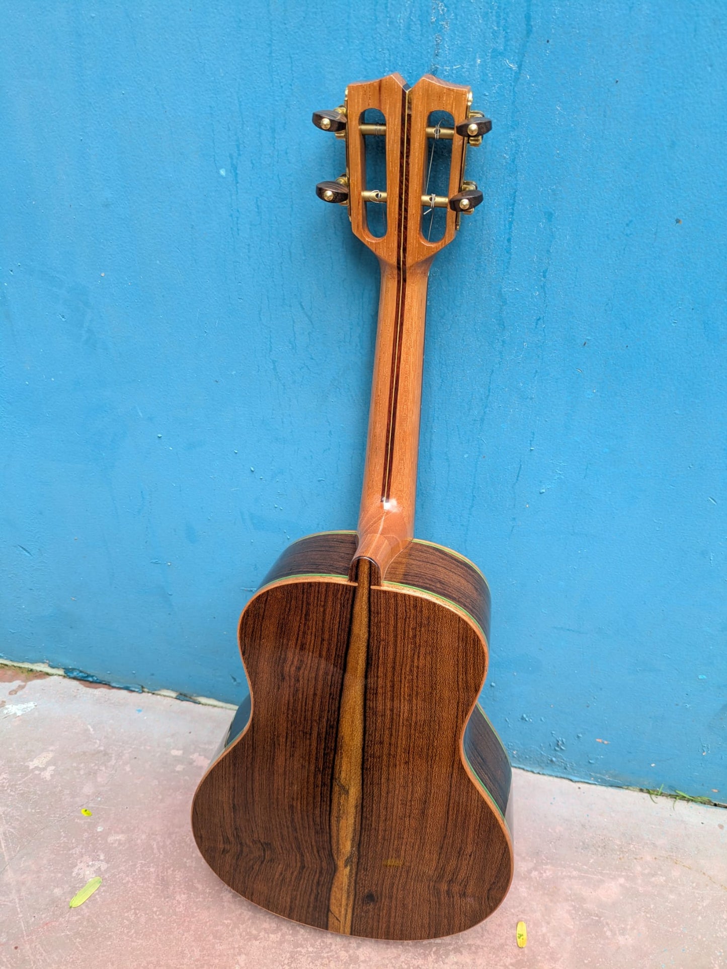 (C3) Wilson Campos Cavaquinho, 2024