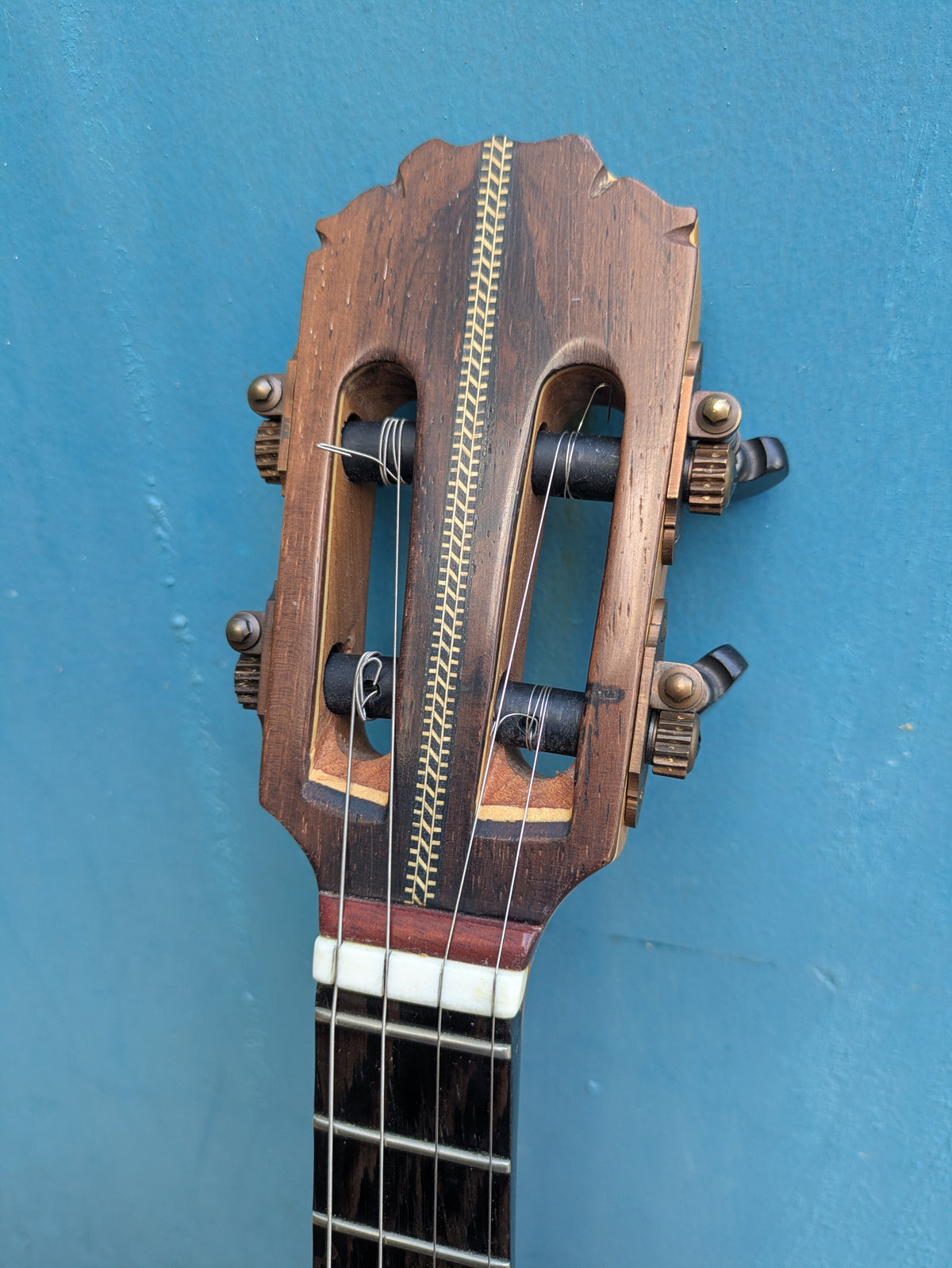 (C3) Zabotto, Modelo Samba, 2021