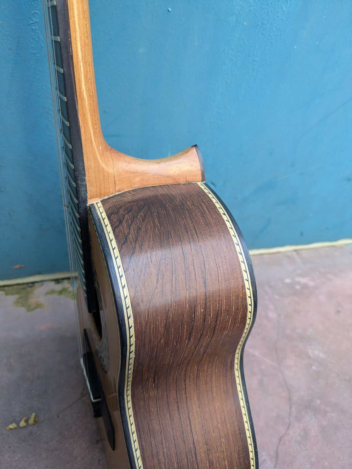 (C3) Zabotto, Modelo Samba, 2021