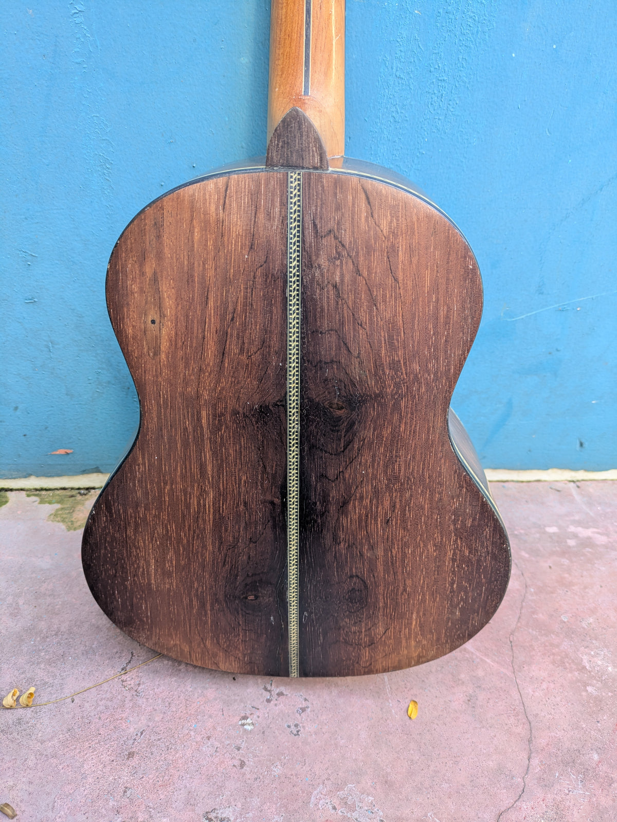(C3) Zabotto, Modelo Samba, 2021
