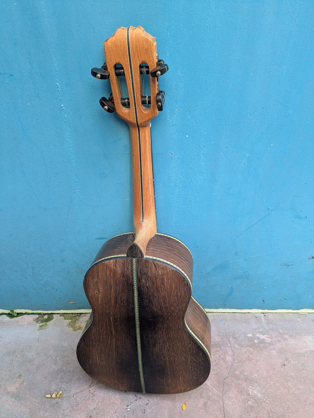 (C3) Zabotto, Modelo Samba, 2021