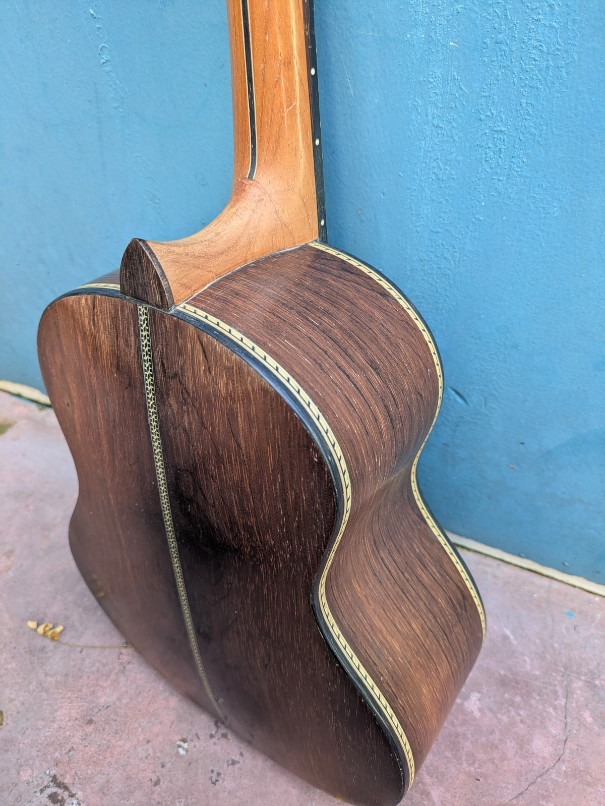 (C3) Zabotto, Modelo Samba, 2021
