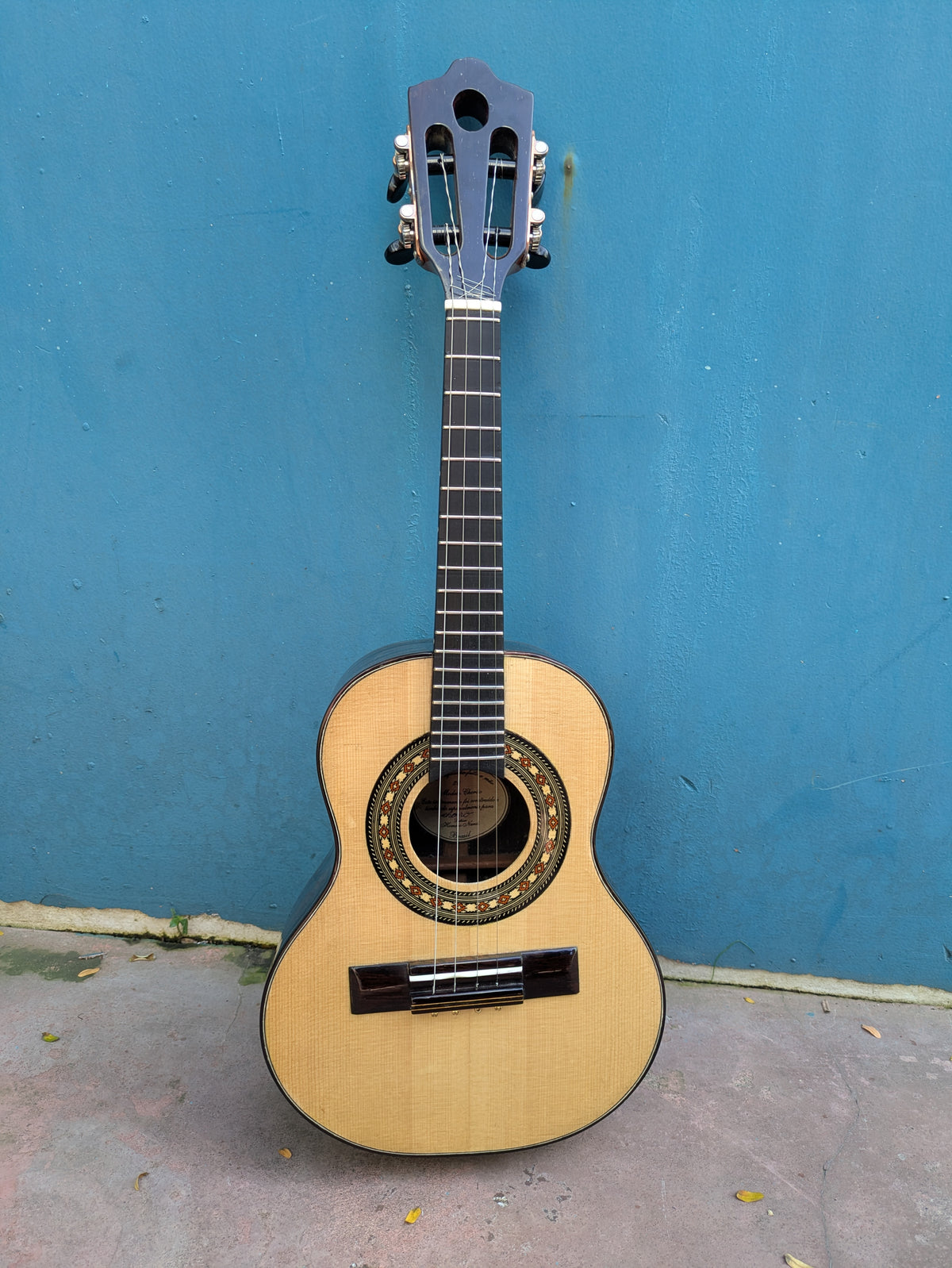 (C2) Homero Nardi, Modelo Chorão