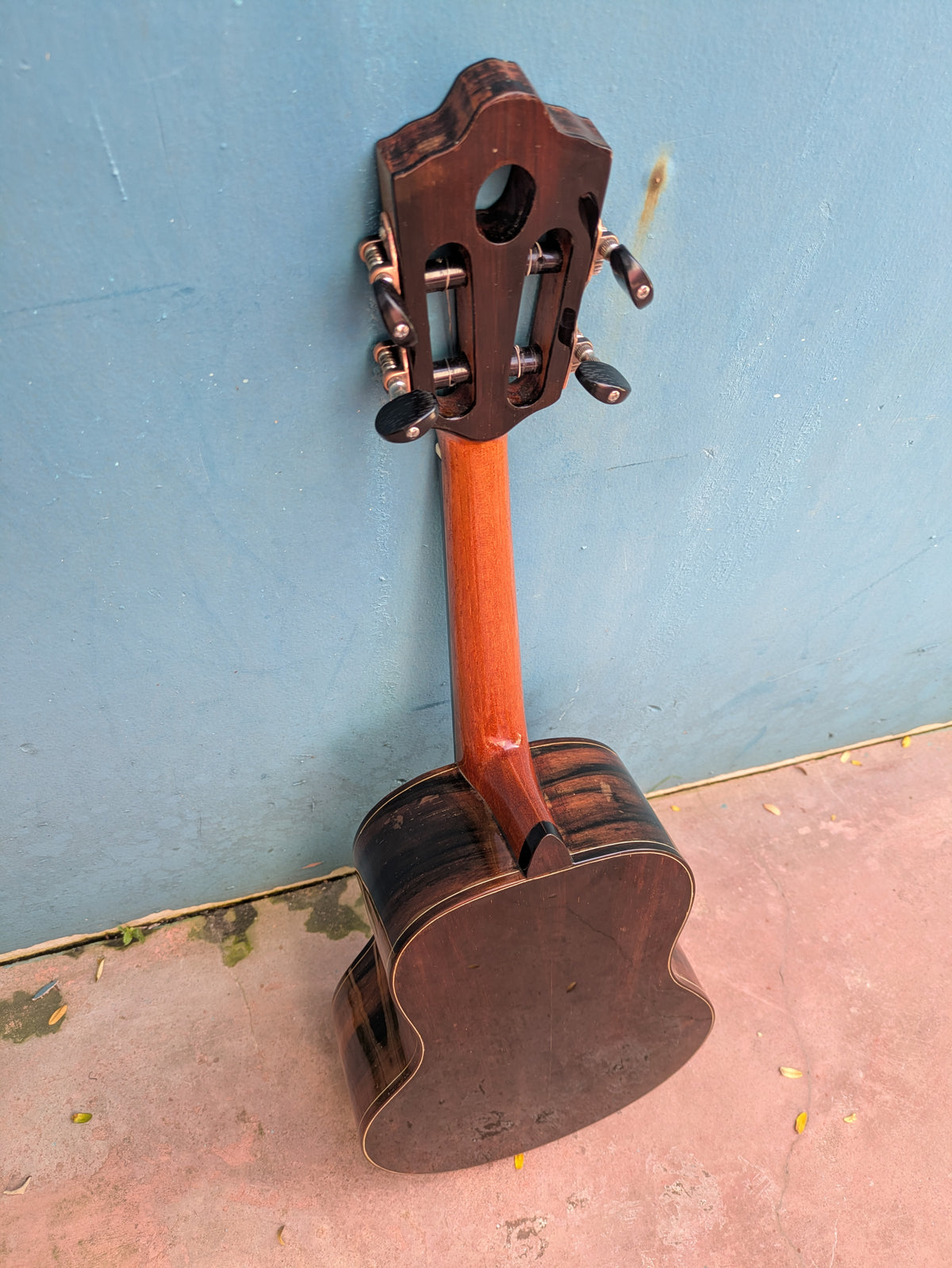 (C2) Homero Nardi, Modelo Chorão