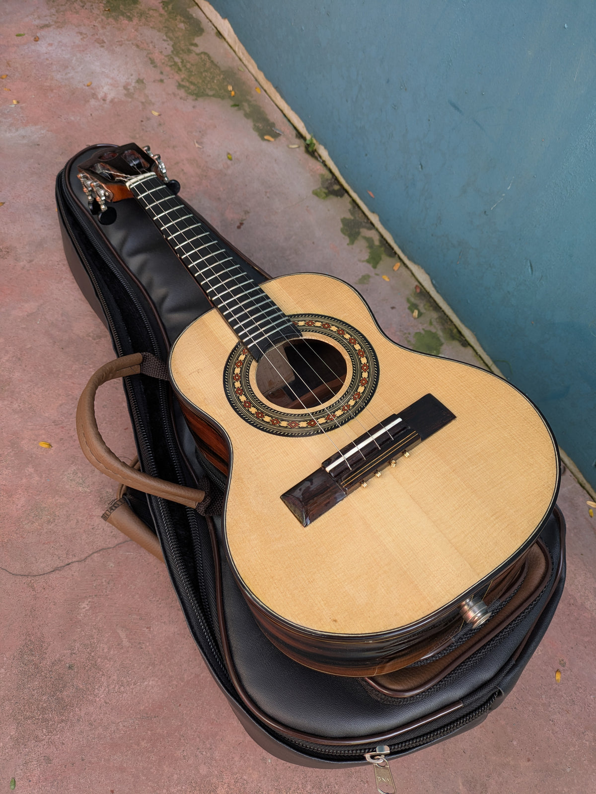 (C2) Homero Nardi, Modelo Chorão