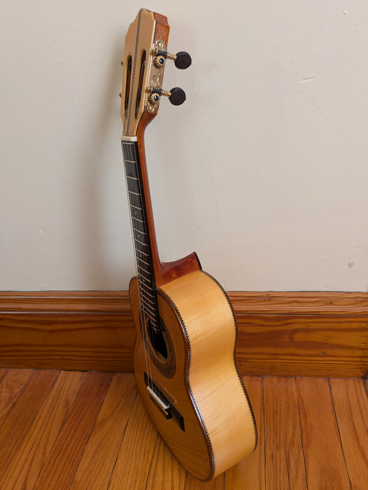 (C4) Mario Machado Cavaquinho