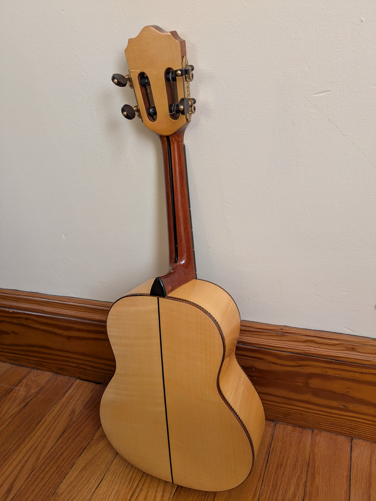 (C4) Mario Machado Cavaquinho