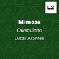 Mimosa, Cavaquinho - Level 2